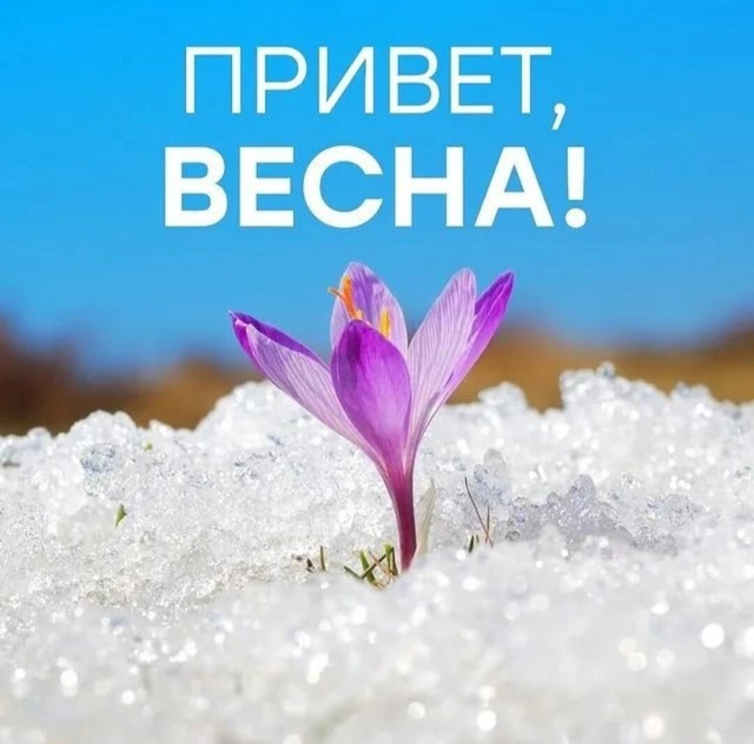 Фото из интернета.