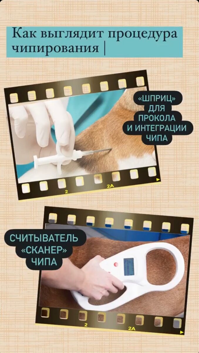 Фото из сторис автора. Недоступны после блокировки инстаграм в России.