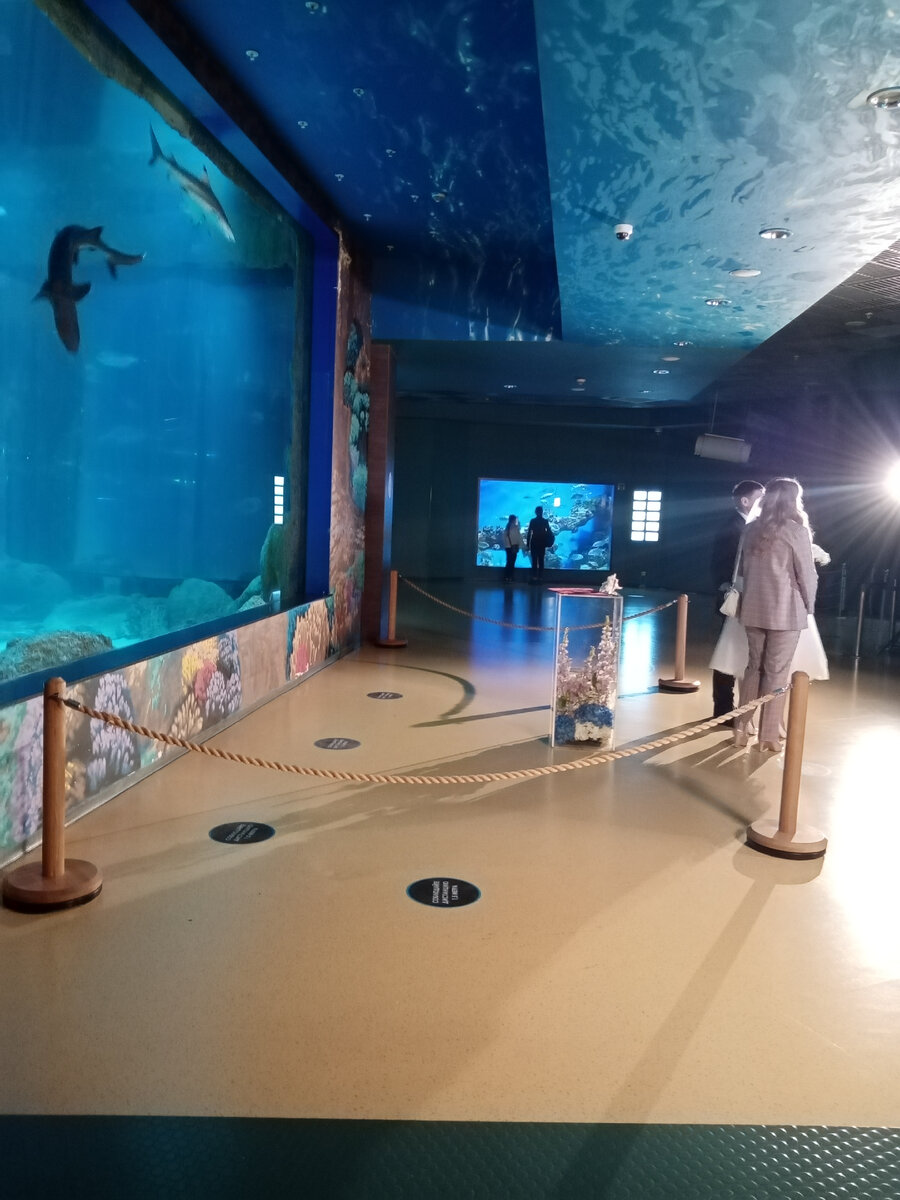 Сняла со спины, свилетеои и молодожены..... 