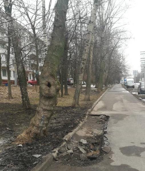 В московском дворе. Источник: Муниципальная платформа 