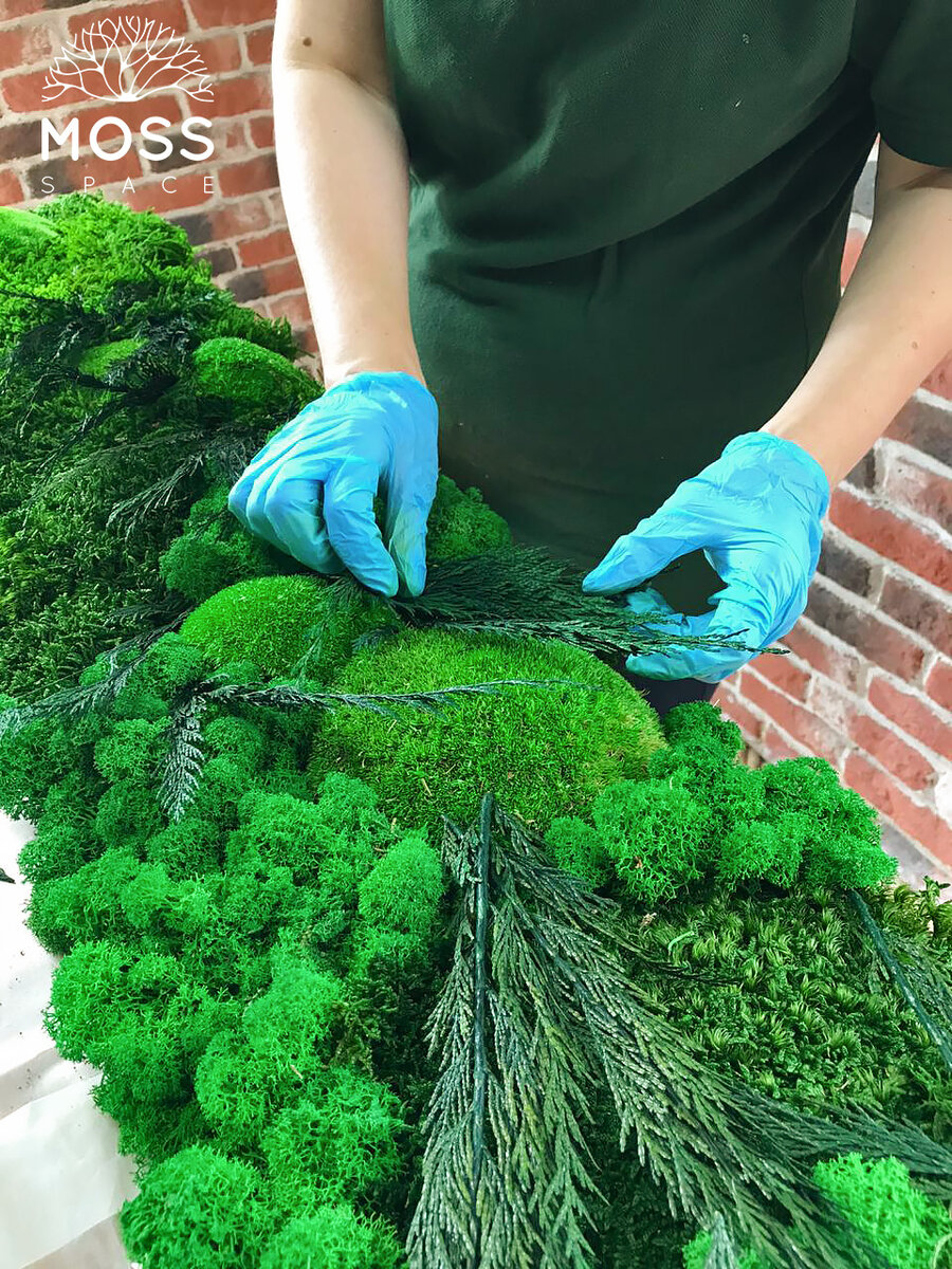 Процесс создания панно из стабилизированного мха