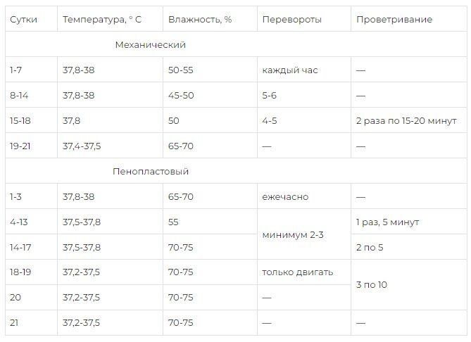 Сколько раз перевернуть яйца в инкубаторе