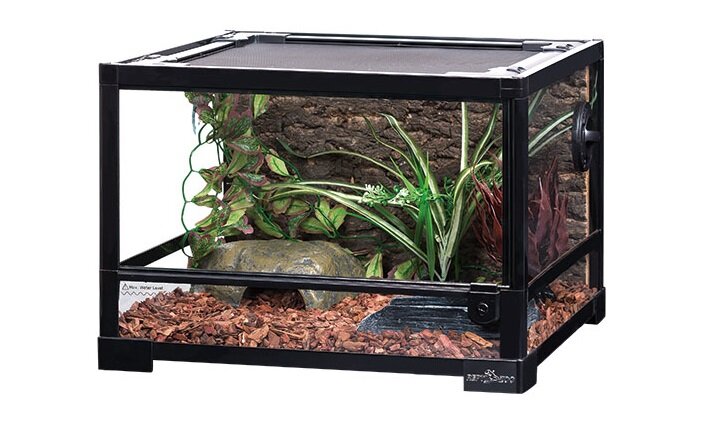 На фото – комфортабельное жилище для аги – стеклянный террариум Repti-Zoo 45x45x32 см (арт. 83635016) с сетчатой крышкой, надежным замком и герметичным акваподдоном.
