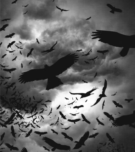 Фото из открытых источников интернета.