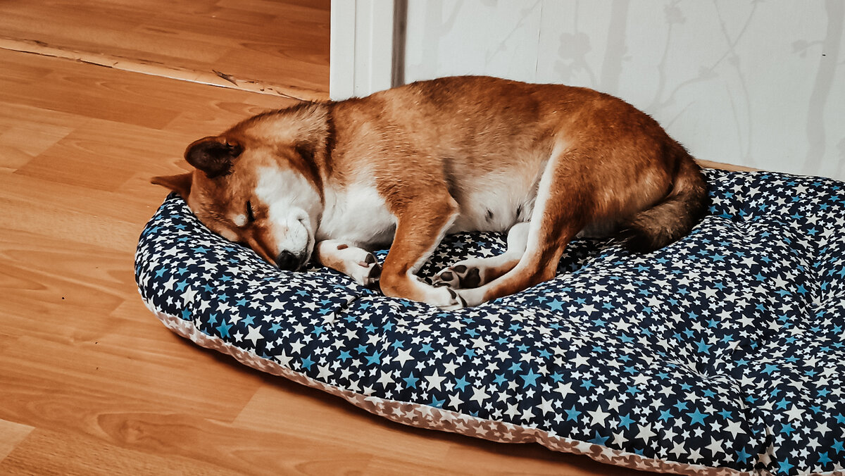 😴