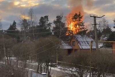    Пожар в Ленинградской области ©Скриншот