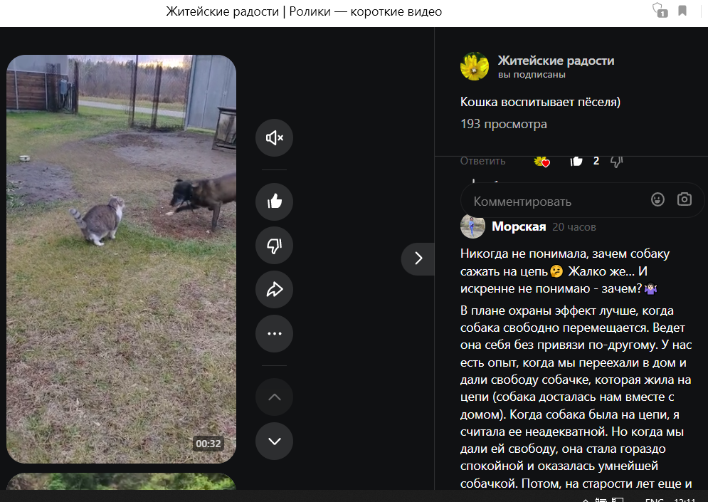 Скрин комментария под видео.