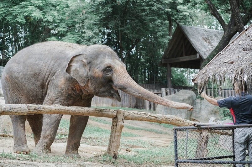 Постоянная мониторинг здоровья птицеловов и работников