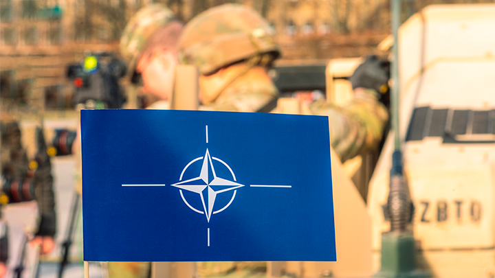 ФОТО: MICHELE URSI / SHUTTERSTOCK