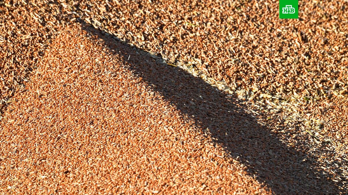    Фото: РИА Новости © 2023