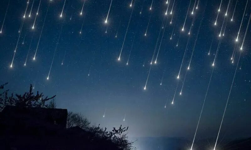 Фото взято из интернета 