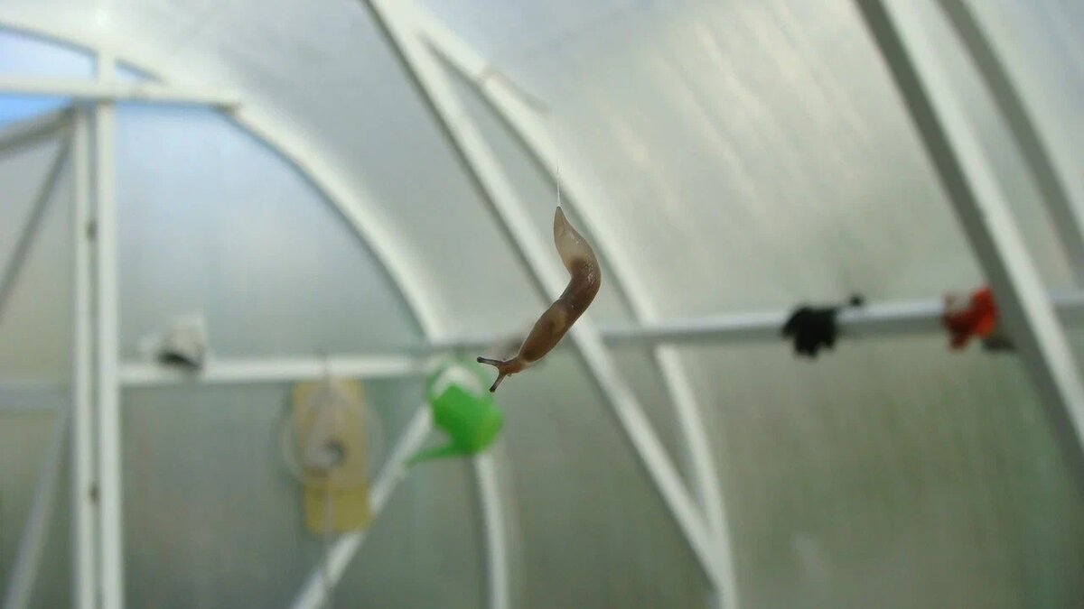 Вот такие дела!