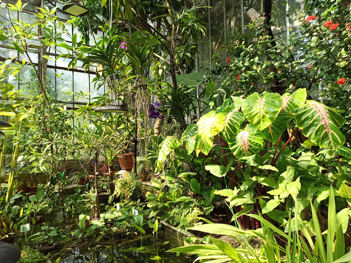 Фото: Алексей Володихин