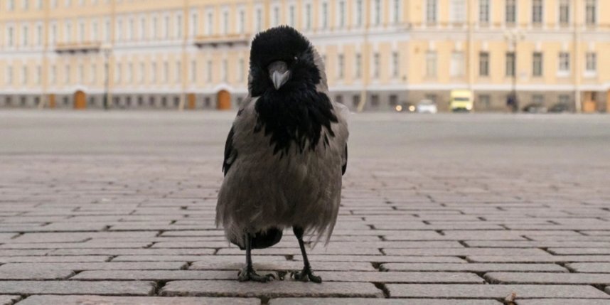    Фото: Алена Бобрович.