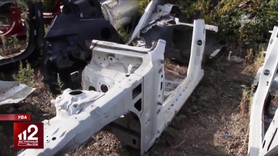 Фото: © Скриншот видео