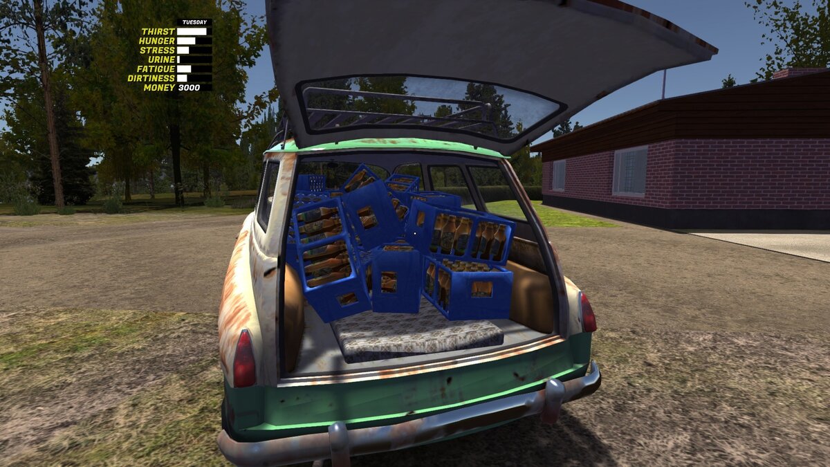 инспекция my summer car