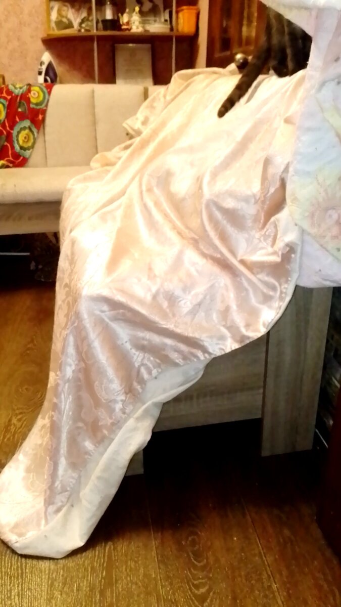 Он внутри, а Муся его троллит. 