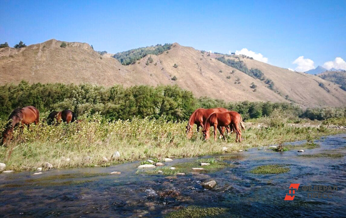 Красочные пейзажи завораживают туристов.  Фото: Фото: ФедералПресс / Андрей Гусий