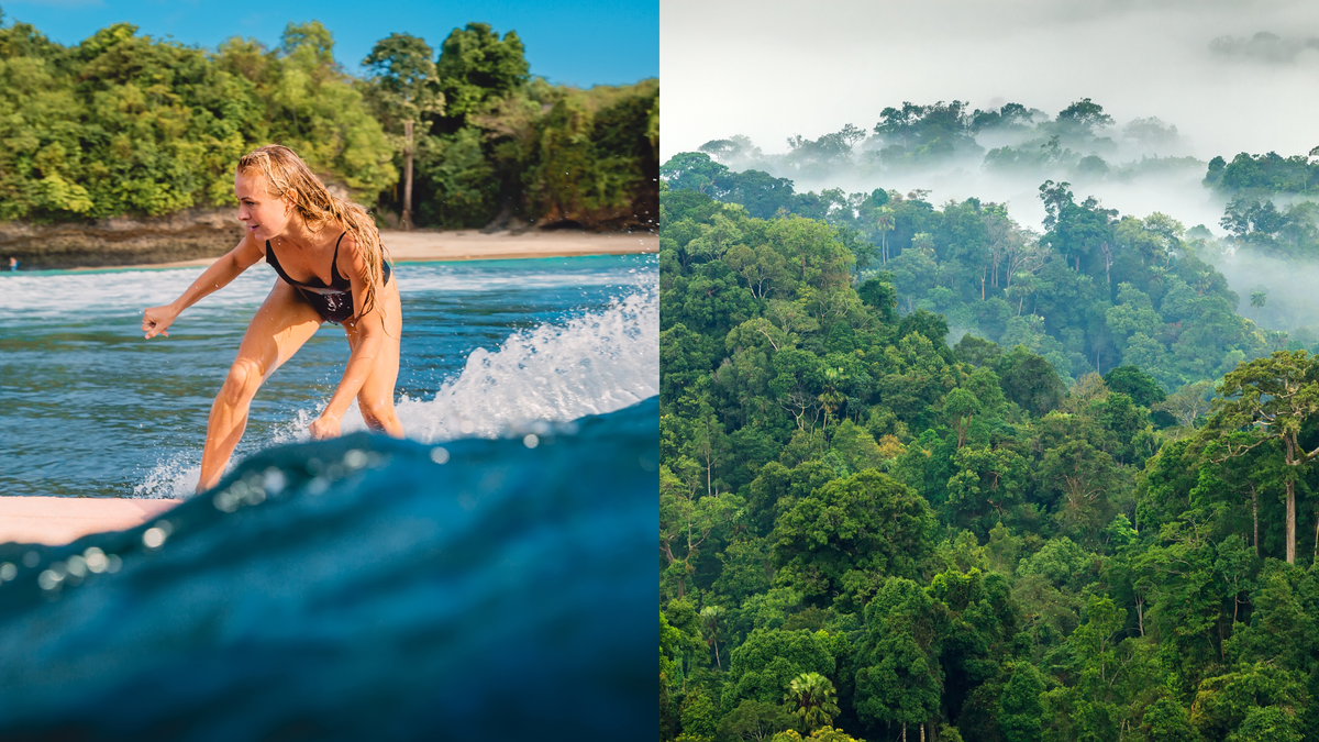 Бали, удивительные волны и джунгли