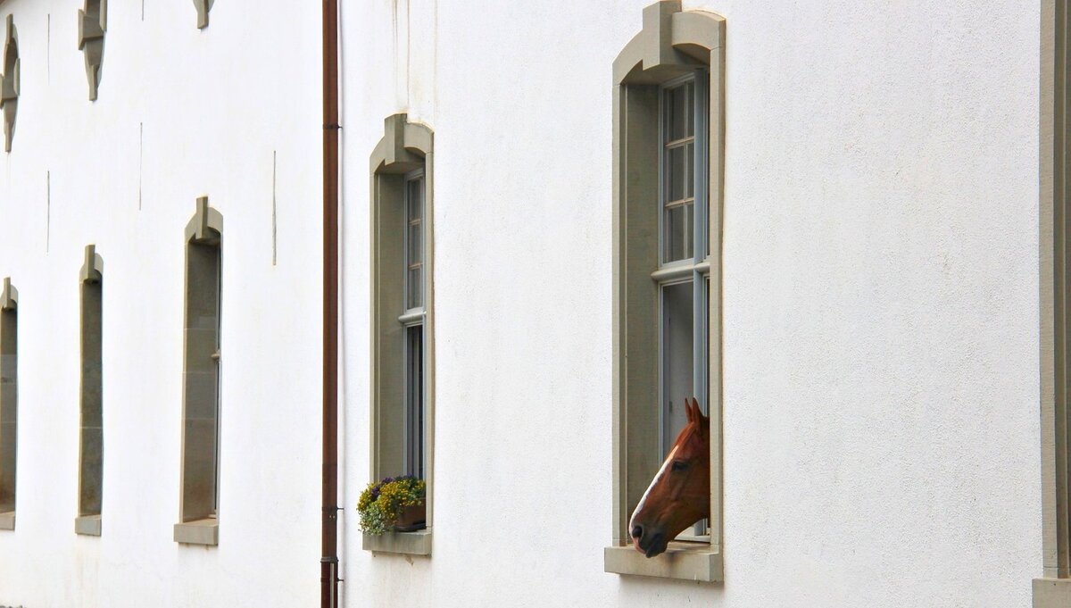 «Согласие на продажу супруга не означает, что не надо отдавать ему ...