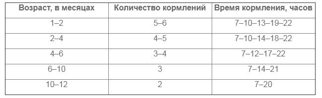 Сколько кормить щенка: Полное руководство по кормлению щенка с диаграммой |  БОБИК и КОТИК | Дзен