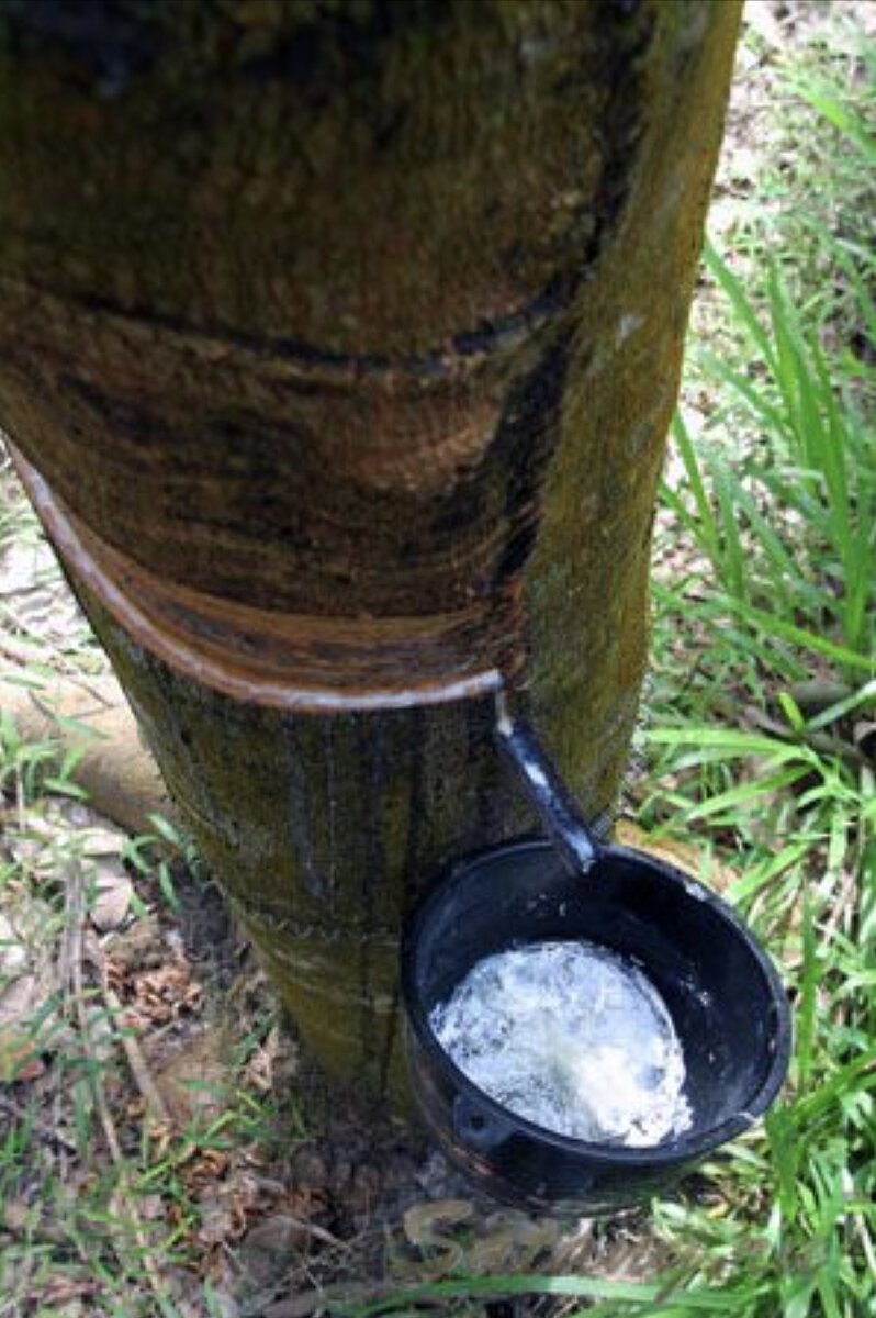 Воздушный шар. Начало.