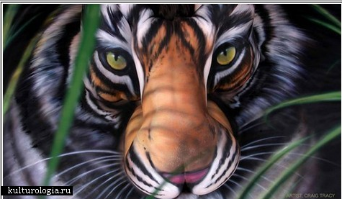  Боди-арт – удивительное искусство! Оно делает и без того красивых девушек еще более красивыми и восхитительными. Главное, чтобы работал мастер. Ведь настоящий Мастер, такой, как Крейг Трейси, может на несколько часов работы сделать из трех девушек настоящего  Крейг Трейси – один из самых знаменитых в мире мастеров боди-арта. Его перу принадлежат тысячи работ, написанных на тысячах прекрасных девушек. А его новое произведение посвящено проблеме уничтожения тигров в Китае. Ведь Год Тигра на 

