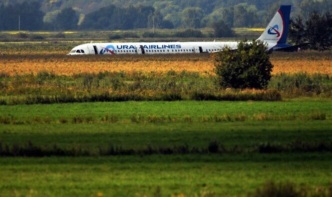 Фото взято с интернета