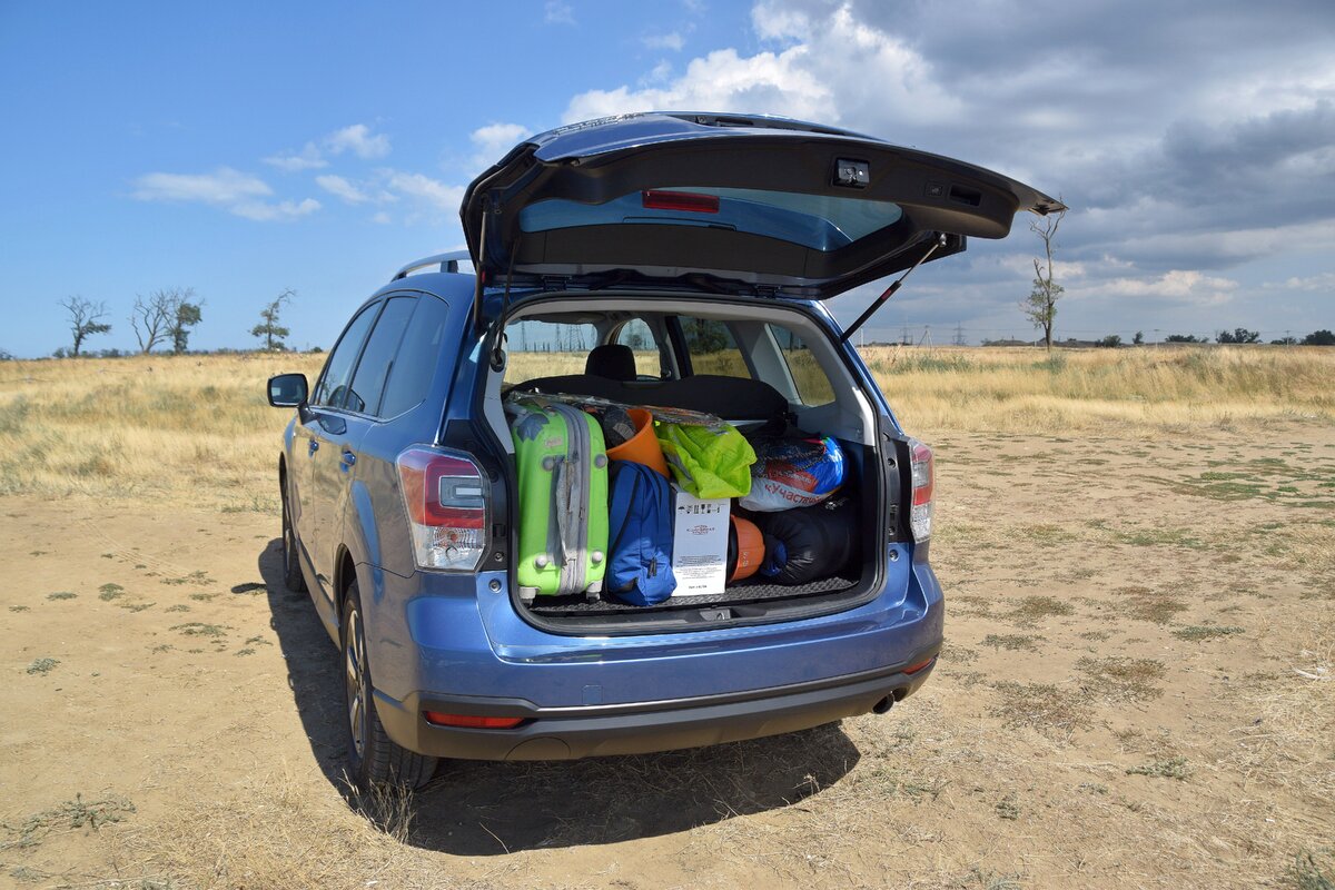 НА SUBARU FORESTER К АЗОВСКОМУ МОРЮ | АВТОТУРИСТ | Дзен