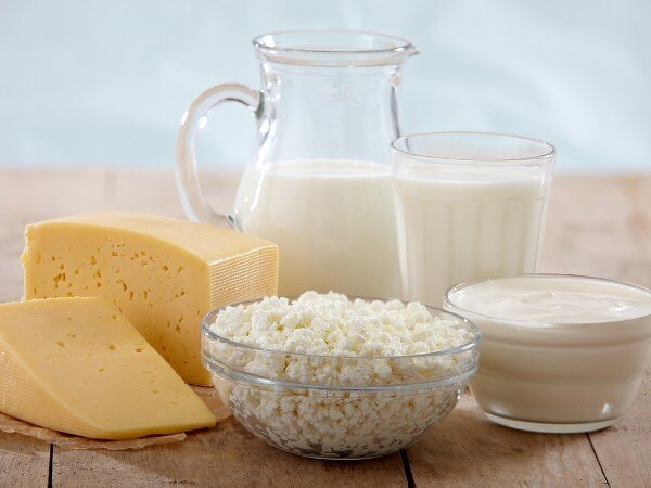 Роль молочных продуктов в питании