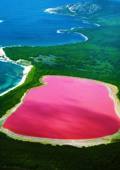 Озеро Хиллиер — розовое, но не сладкое