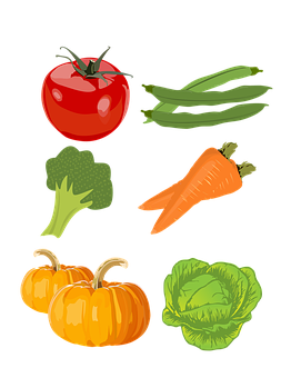 https://cdn.pixabay.com/photo/2016/06/30/14/54/vegetables-1489130__340.png