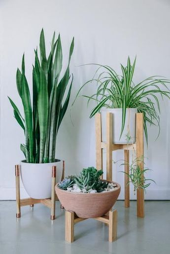 pinterest.com