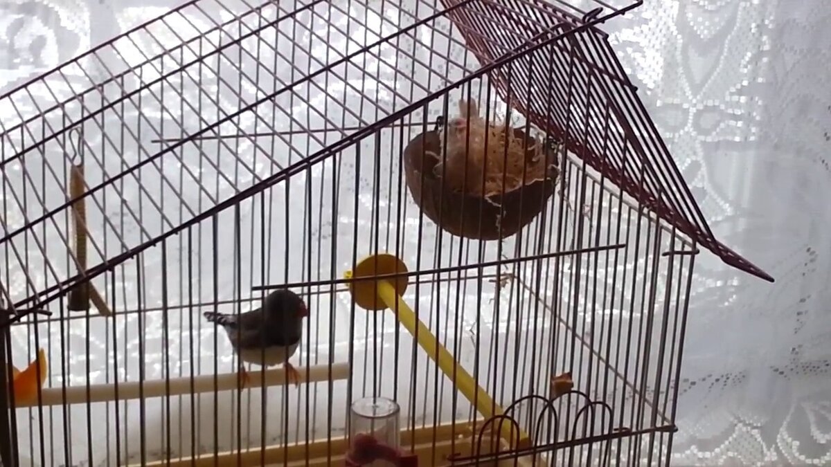 Фото из сети