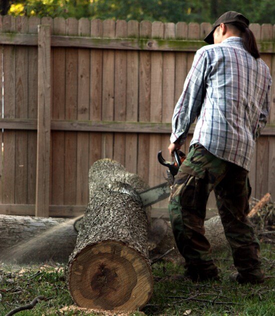 http://stroykomtech.ru/images/all/cottage/plants/srez-1/derevo-srez-1.jpg