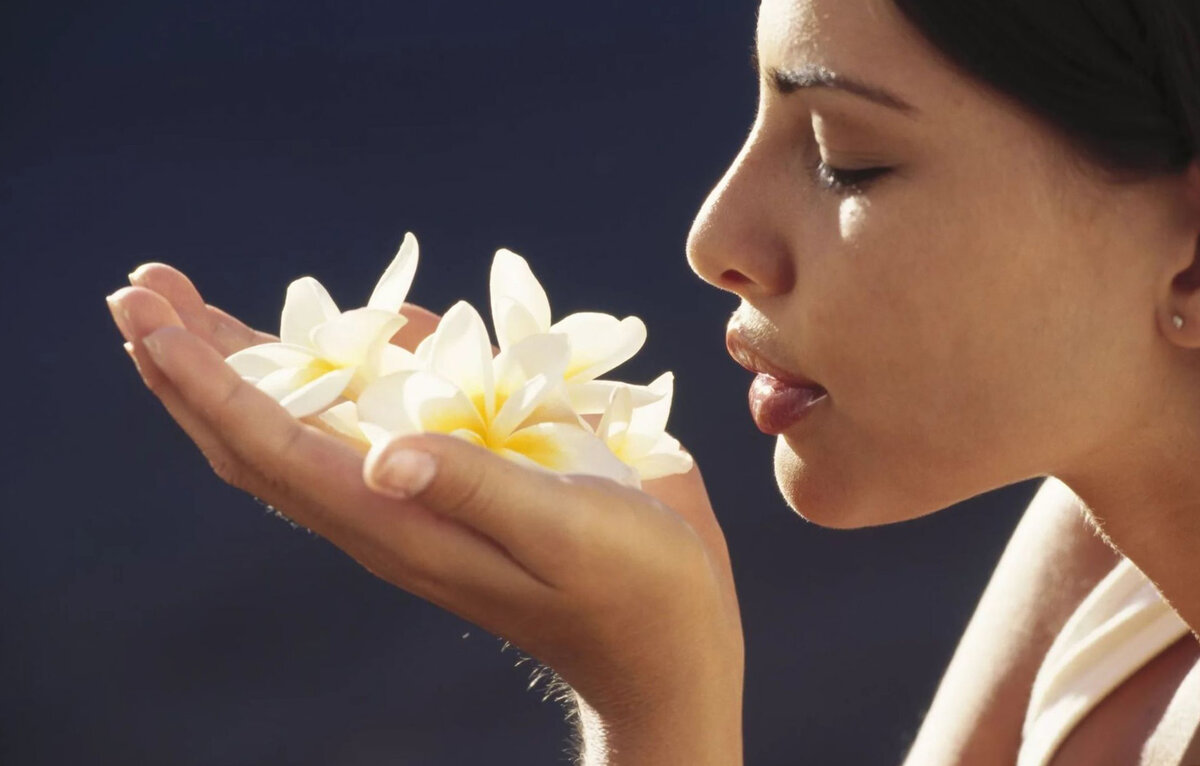 У нас запах по всему дому от мусоропровода | Наталья Орлова | Дзен