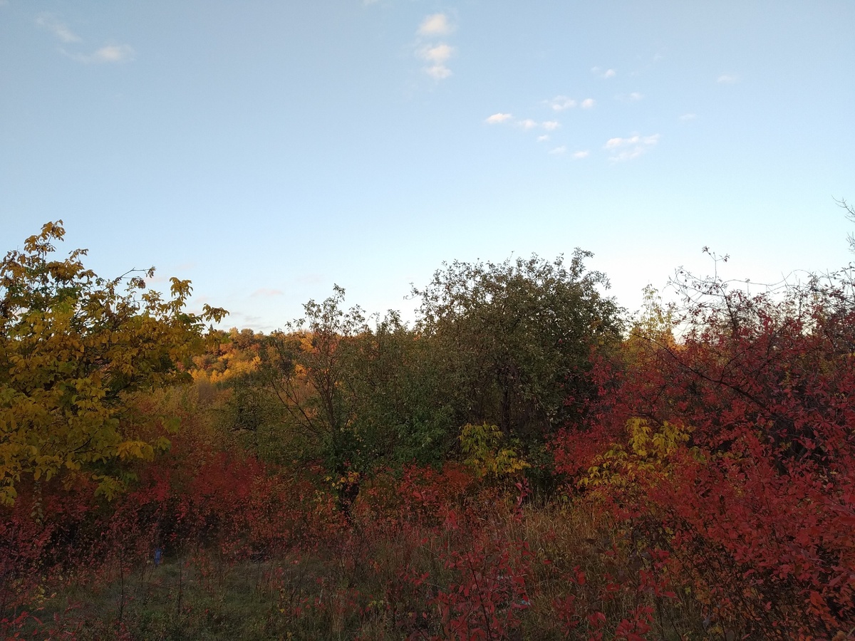 Лучший вид для глаз, когда идёт красная волна на биржах.