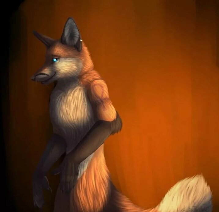 картинка с просторов интернета