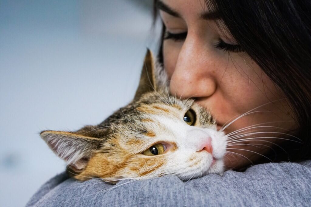 Приемный котик из «Убежища»
Фита: Приют «Убежище»