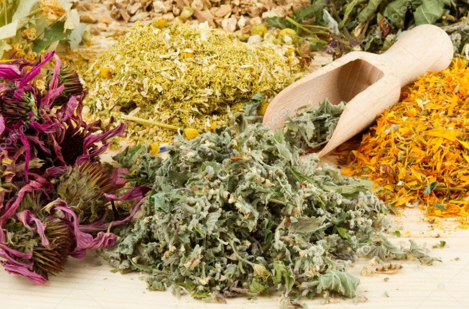 Лекарственные растения