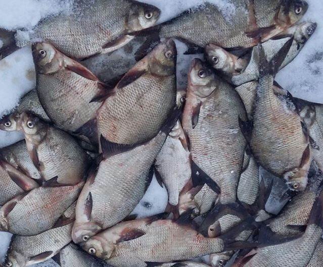 Подлещики не остались равнодушными к бисеру