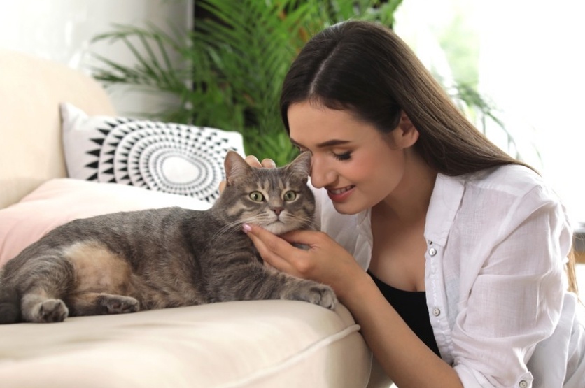 Из свободных источников