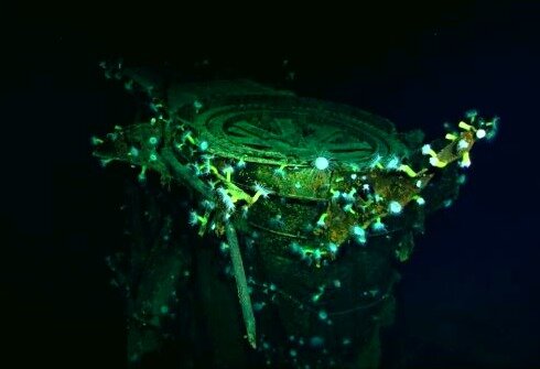 Орудийное крепление на Кагу