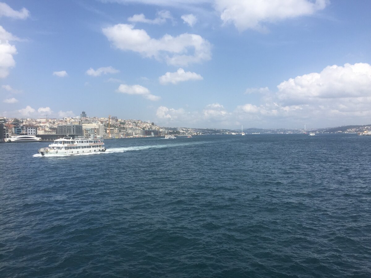 Цель визита в Стамбул - Босфор