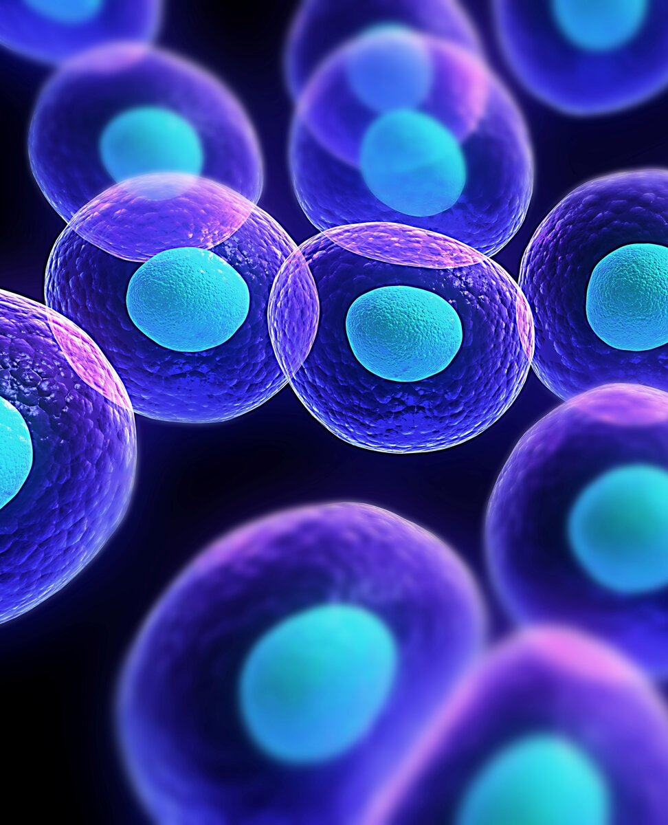 https://www.c3isolutions.com/wp-content/uploads/2015/04/Human-Cells-and-Tissues.jpg