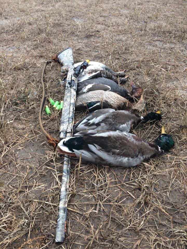 Первый выезд с новым ружьём 