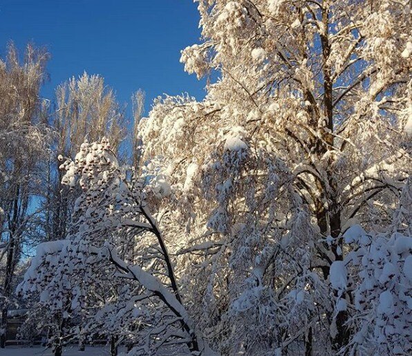 фото автора (06.01.2019)