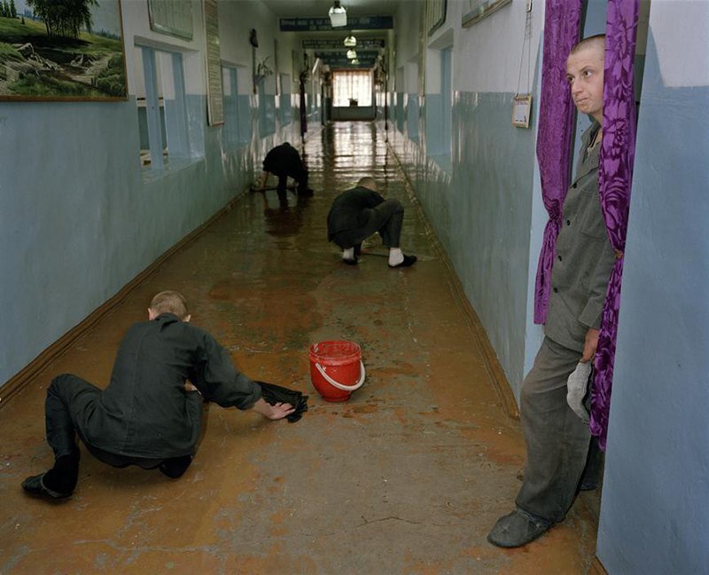 Фото Яндекс картинки.