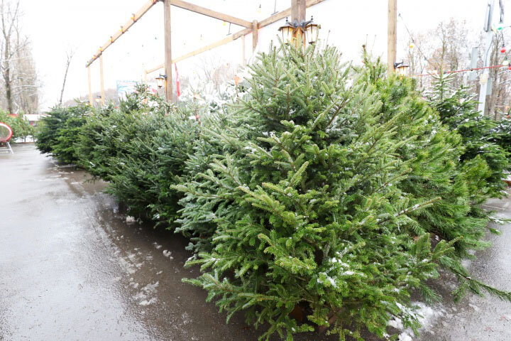 Фото: Евгений Вдовин / 161.ru