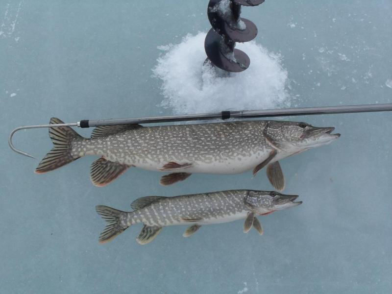 Зимняя рыбалка | Советы и основы для начинающих: снасти, одежда и места